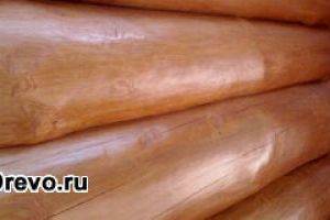 Какой материал использовать для покраски сруба изнутри