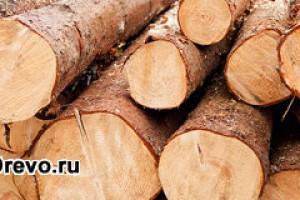 Преимущества выбора сруба из лиственницы