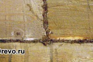 Нюансы работ по конопатке брусового дома своими руками
