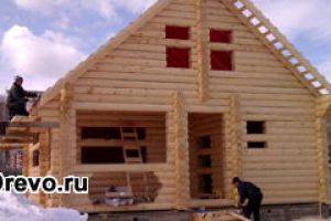 Из какого леса лучше строить дом - зимнего или летнего