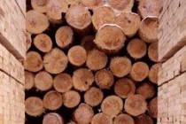 Выбор материала для строительства деревянного дома
